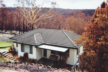 VPI5.JPG