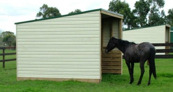HORSE.jpg